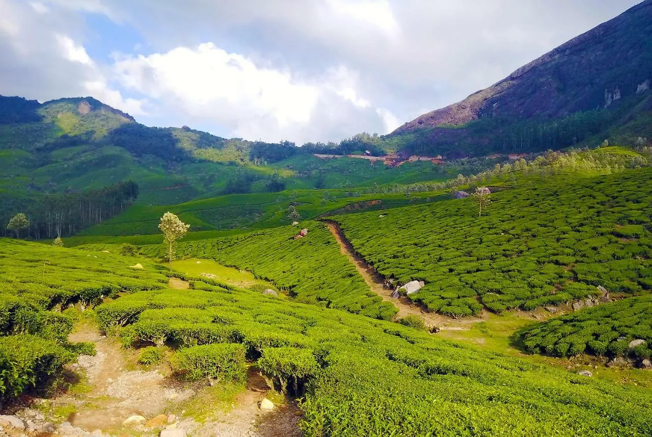 Teamount Suites Munnar 3*, Devikolam India